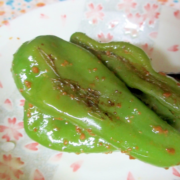 甘長唐辛子の醤油麹炒め煮